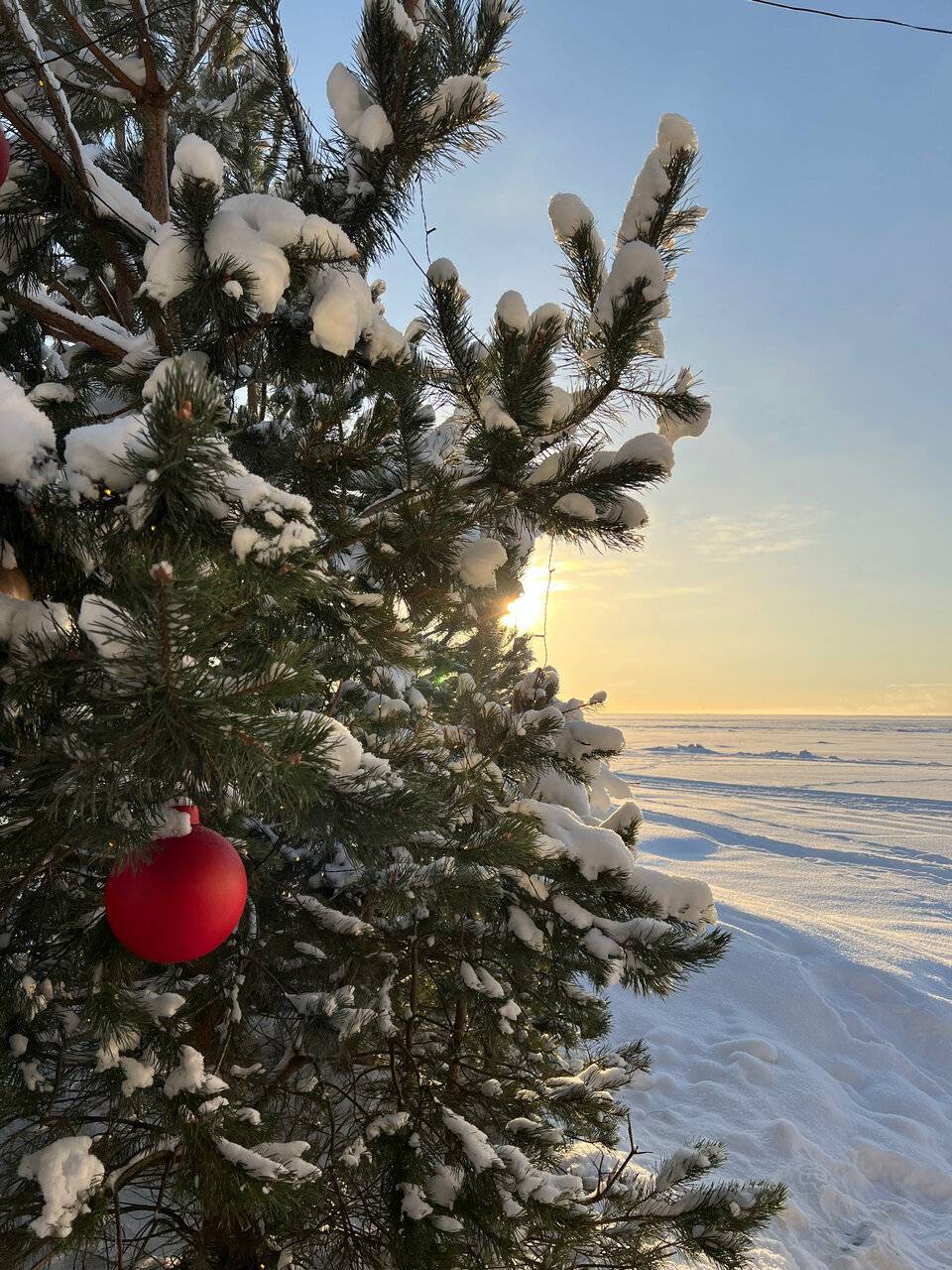 Фото Гостиницы Лайнер Комарово 158