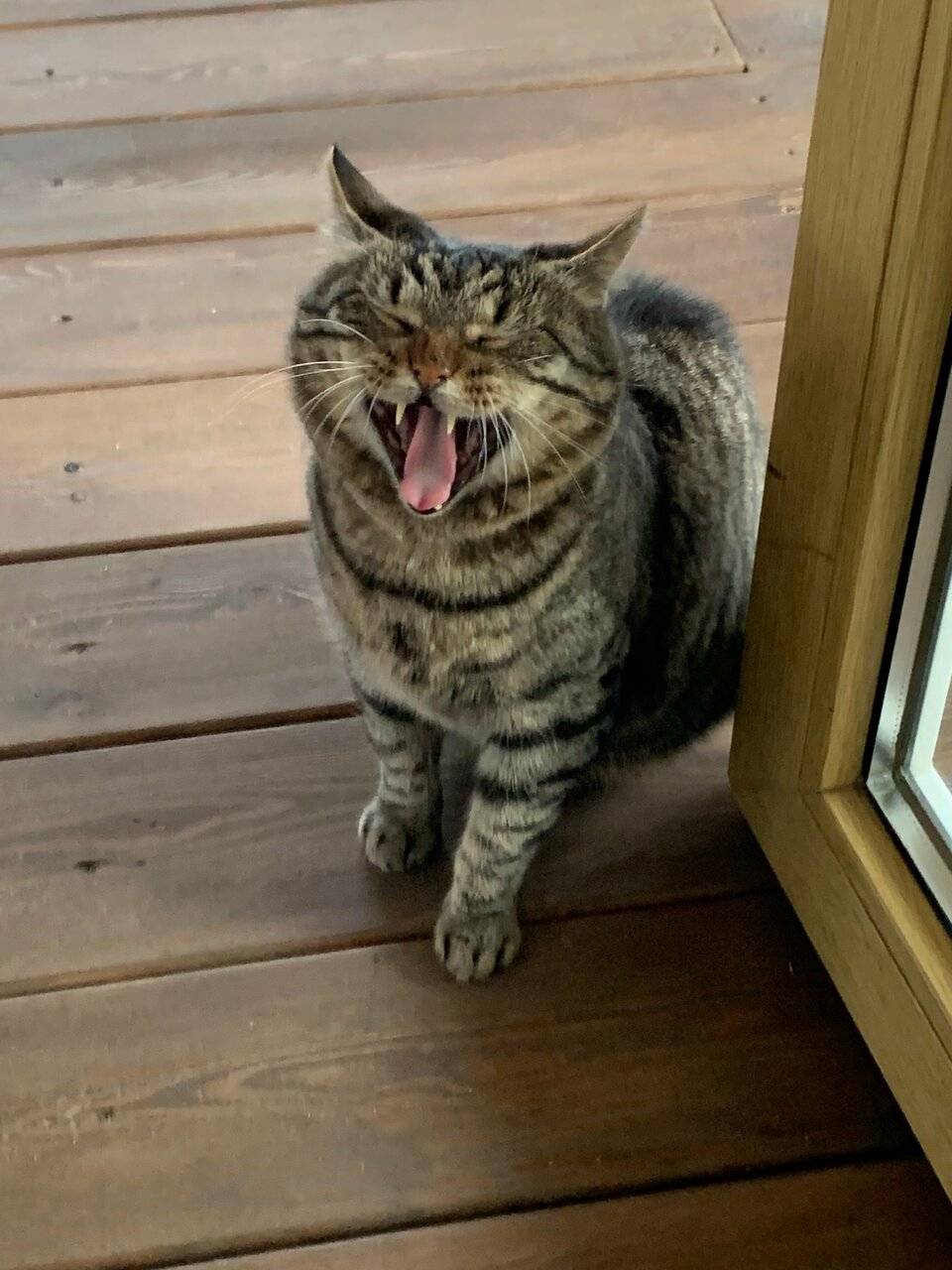 Фото Гостиницы Лайнер Комарово 69