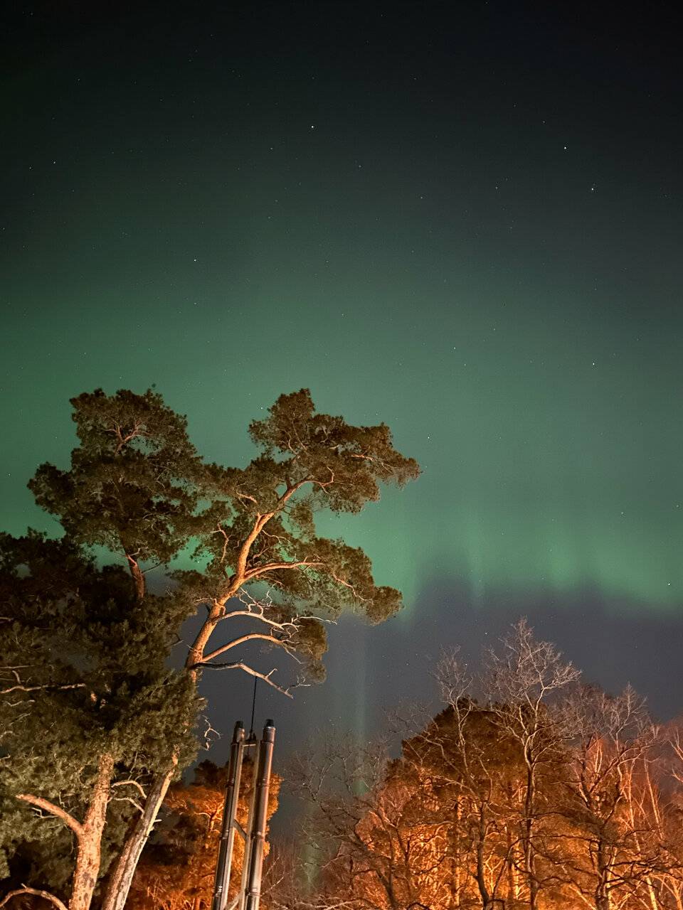 Фото Гостиницы Лайнер Комарово 120