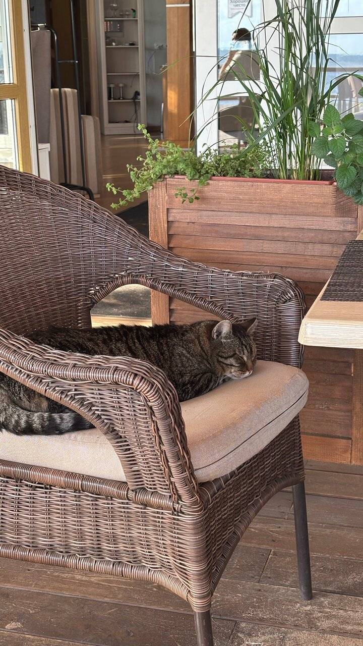 Фото Гостиницы Лайнер Комарово 135