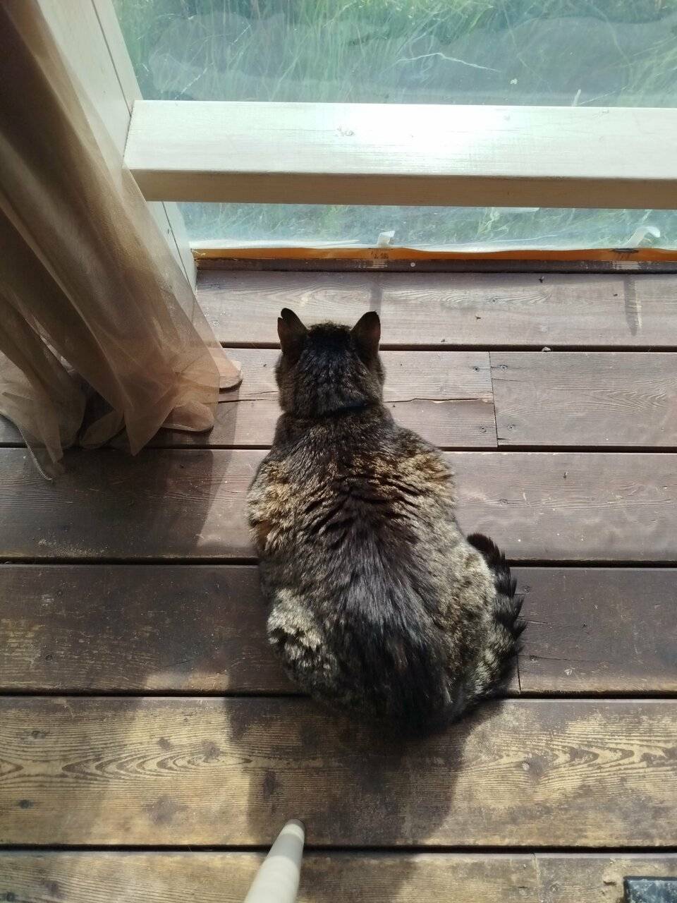 Фото Гостиницы Лайнер Комарово 195