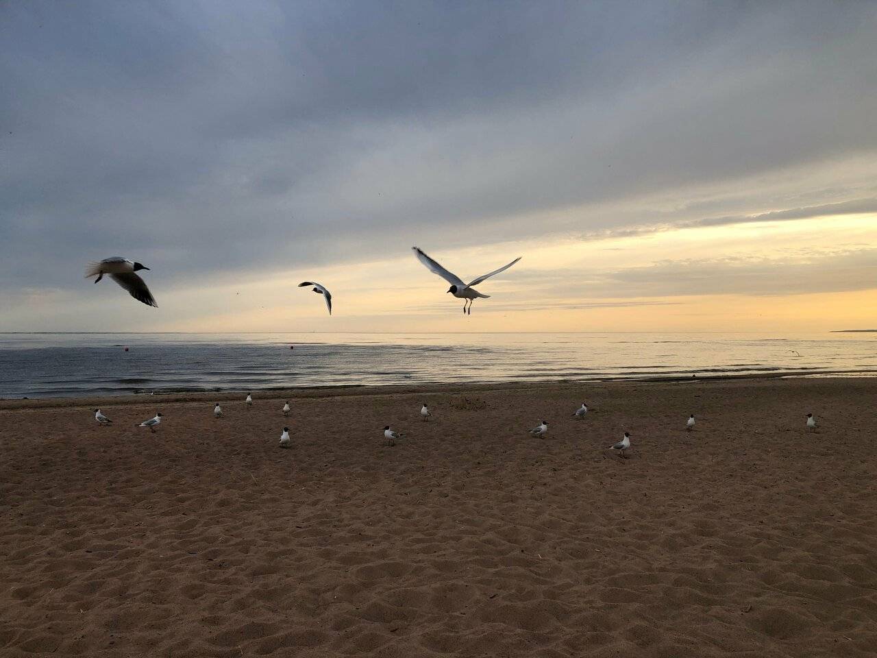 Фото Гостиницы Лайнер Комарово 92