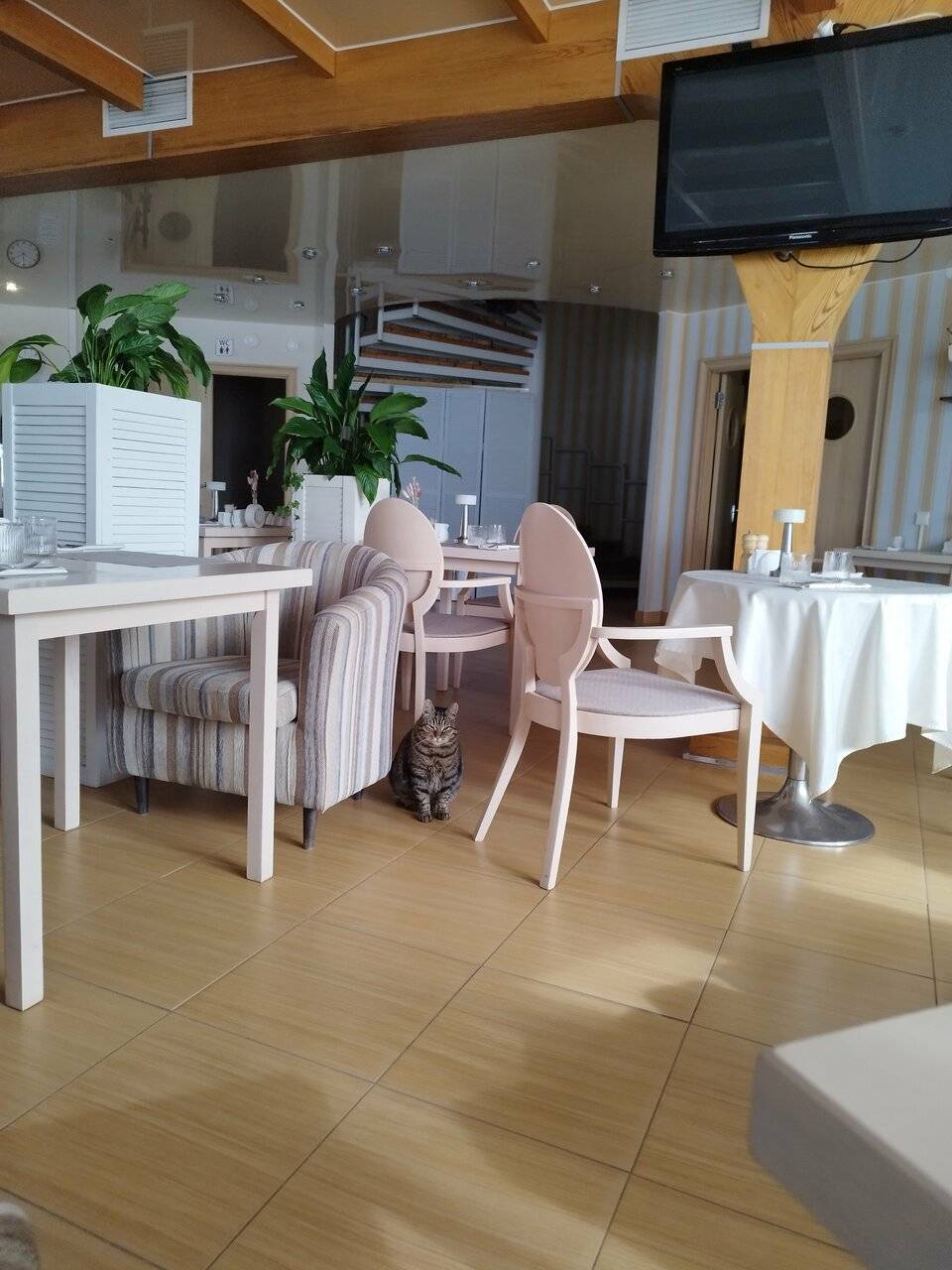 Фото Гостиницы Лайнер Комарово 216