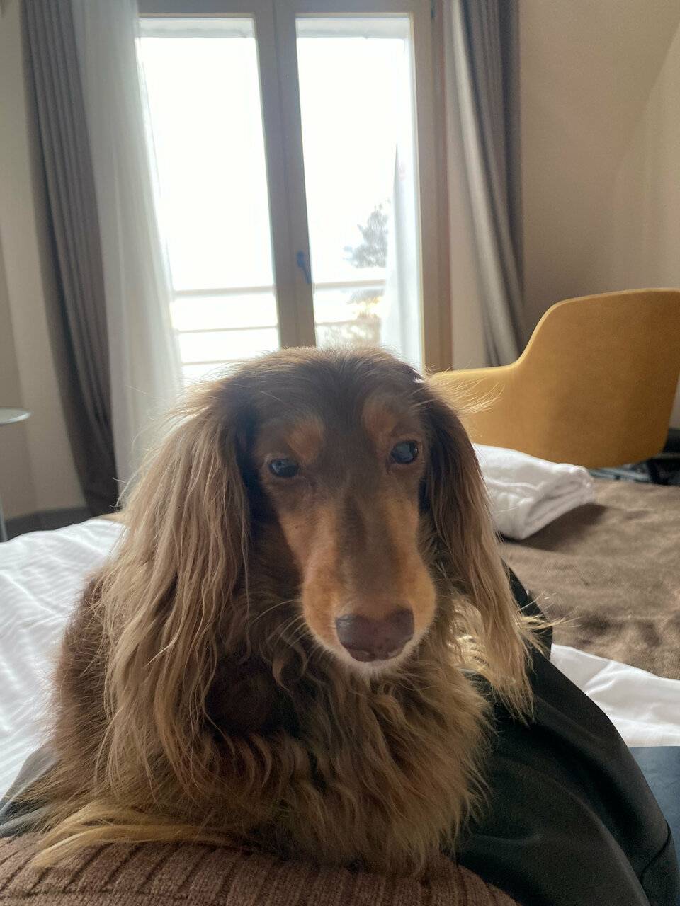 Фото Гостиницы Лайнер Комарово 138