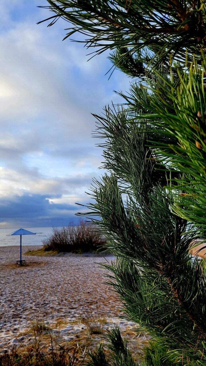 Фото Гостиницы Лайнер Комарово 196