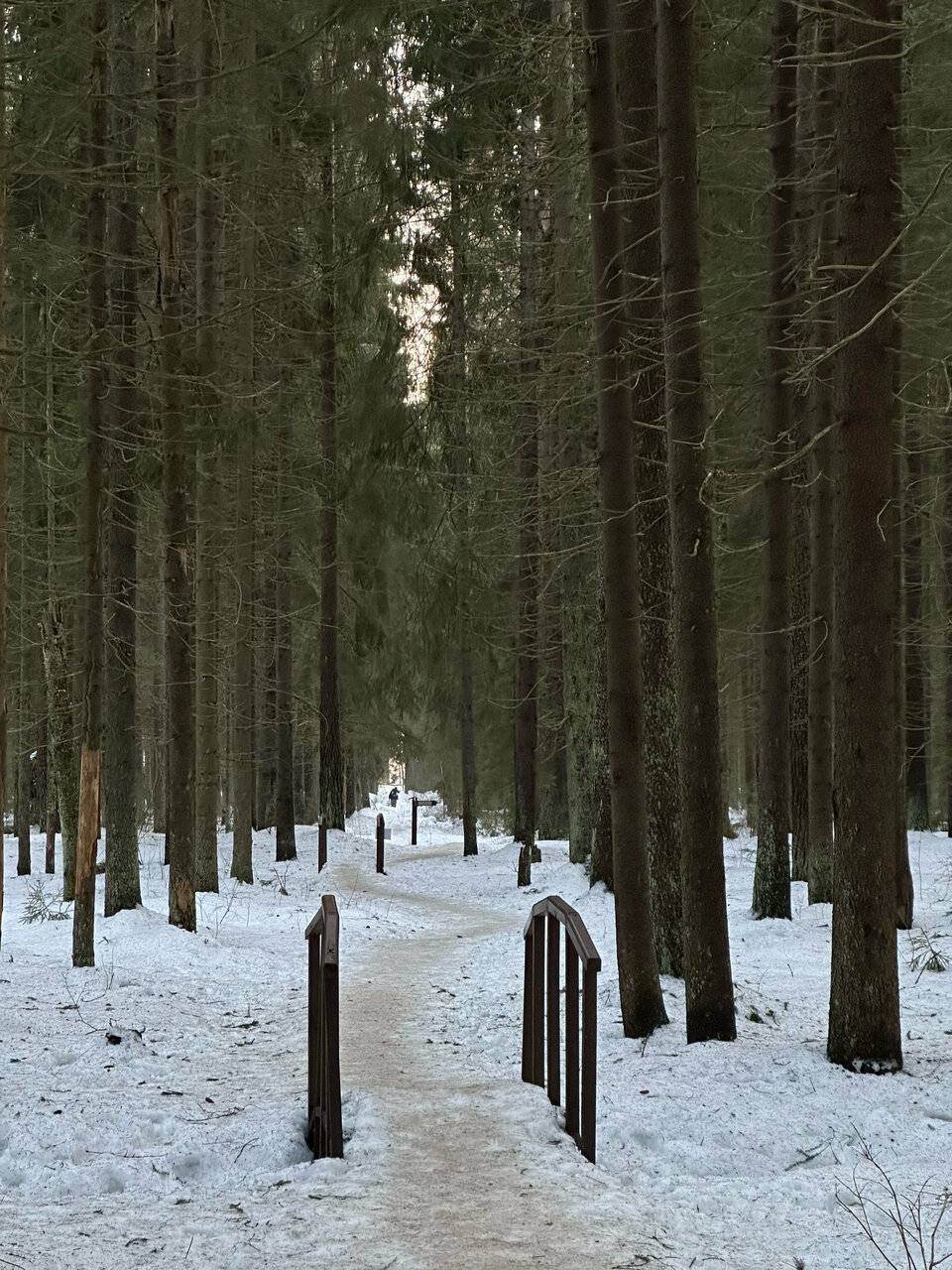 Фото Гостиницы Лайнер Комарово 116
