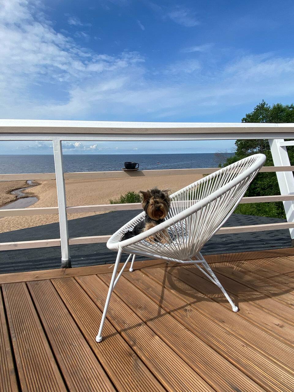 Фото Гостиницы Лайнер Комарово 172