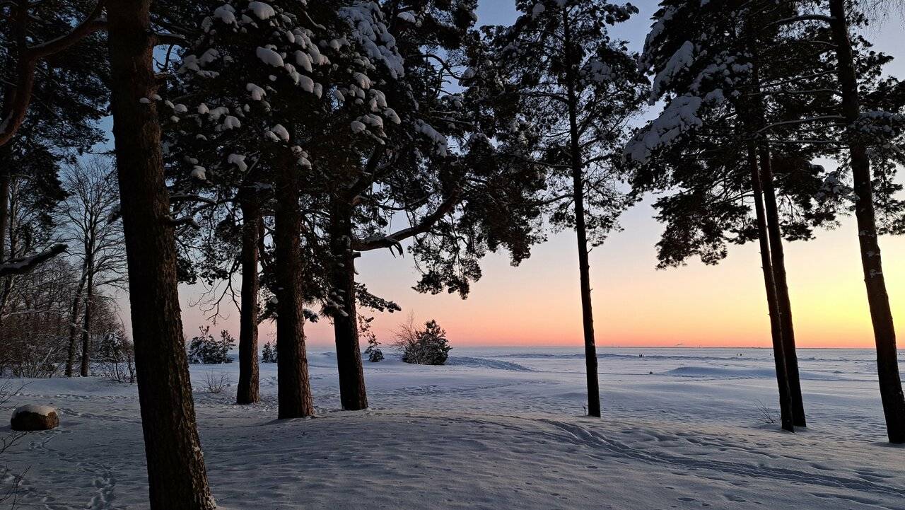 Фото Гостиницы Лайнер Комарово 104
