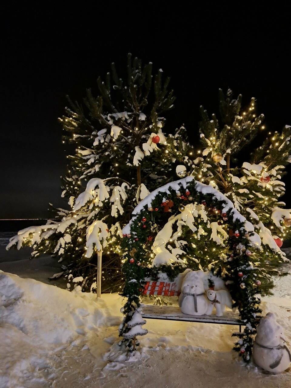 Фото Гостиницы Лайнер Комарово 102